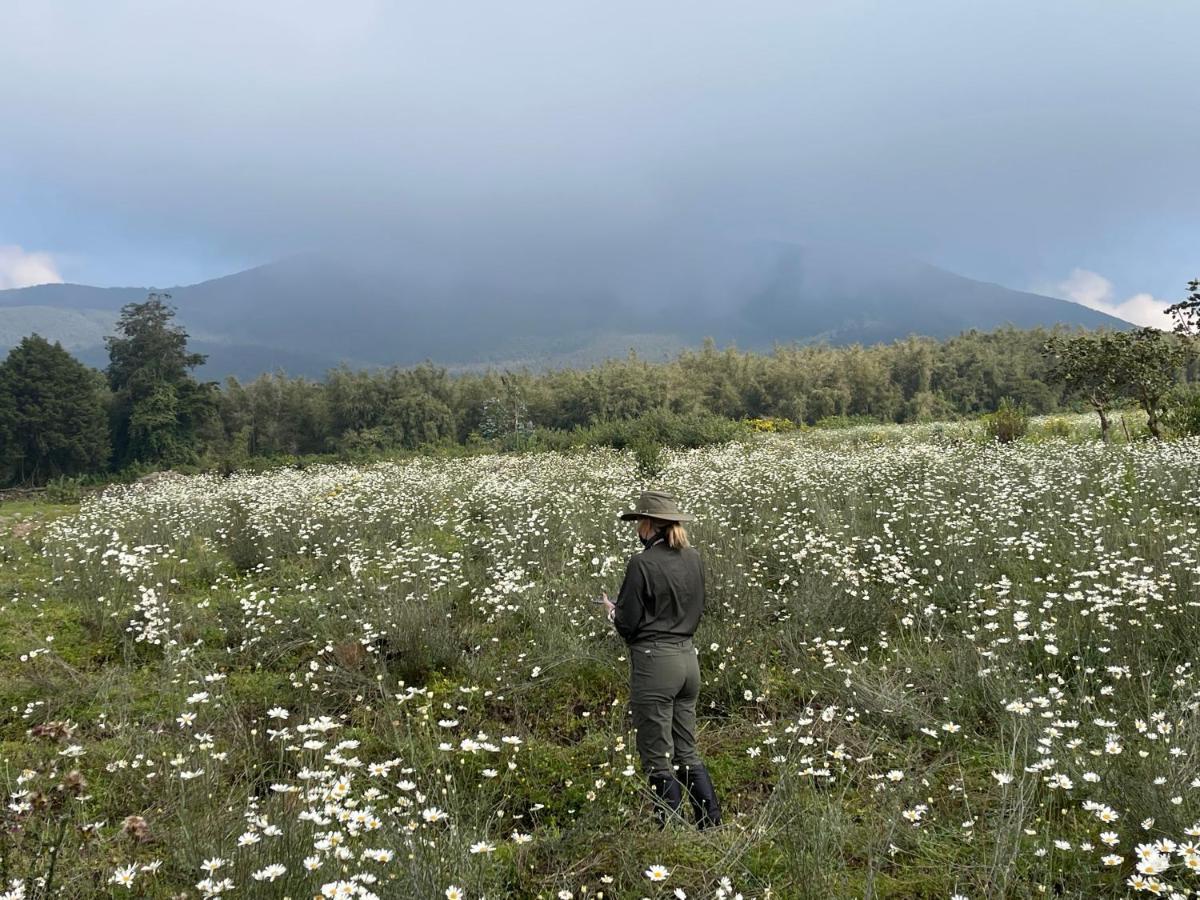 Virunga Homes روهينجيري المظهر الخارجي الصورة