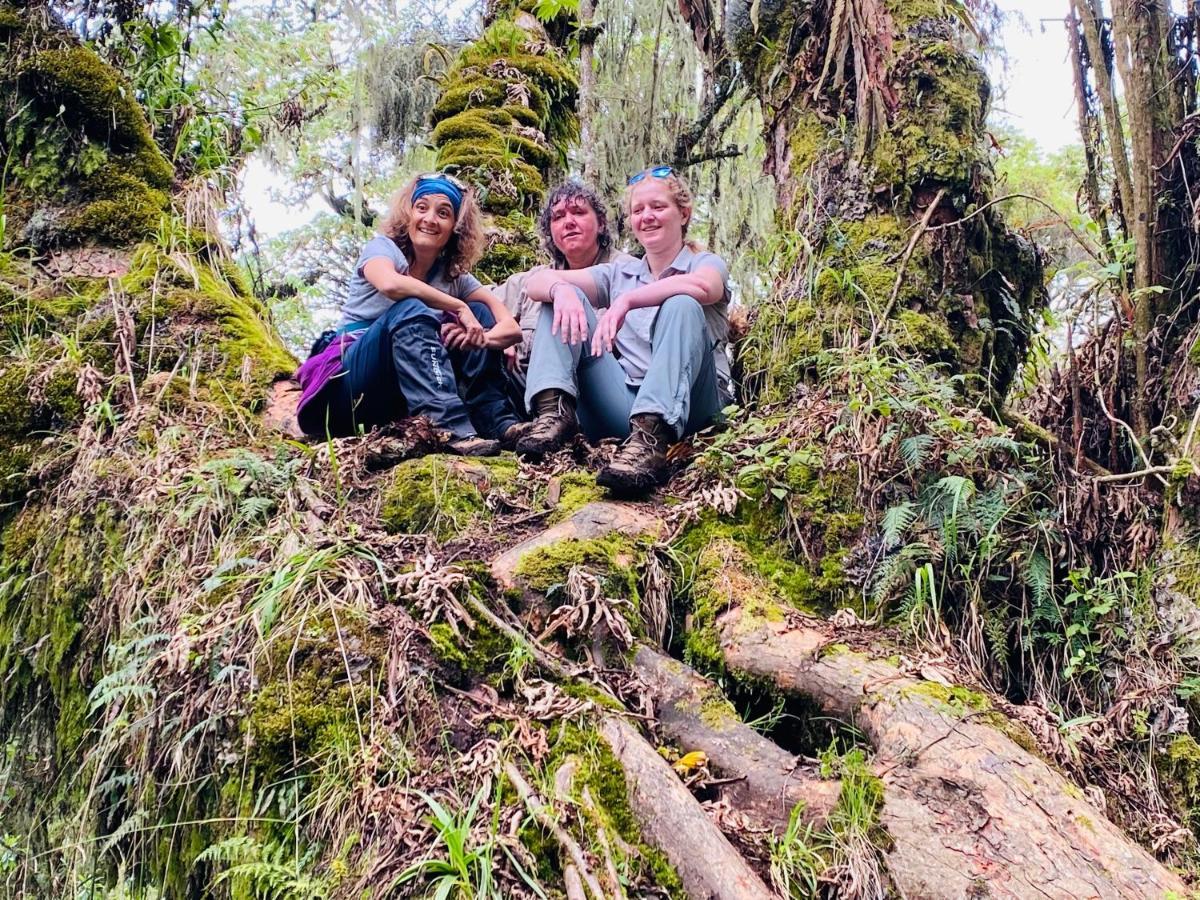 Virunga Homes روهينجيري المظهر الخارجي الصورة